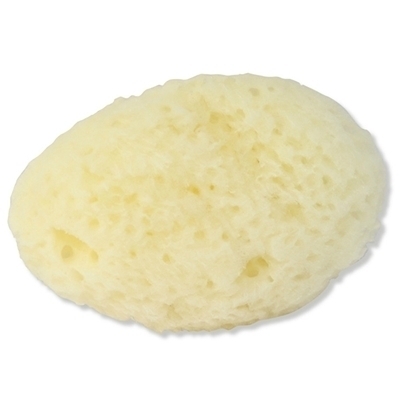 �V�R�C�ȁ@��T�����@�i�P�i�j