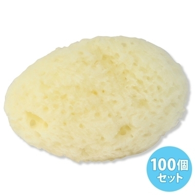 �V�R�C�ȁ@��T�����@�i�P�O�O����j