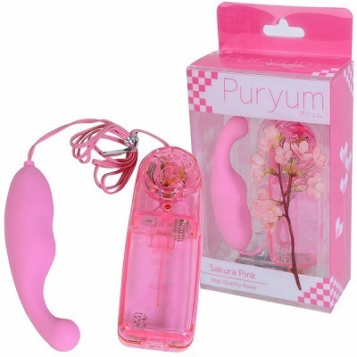 �v�������@�i�s���N�j