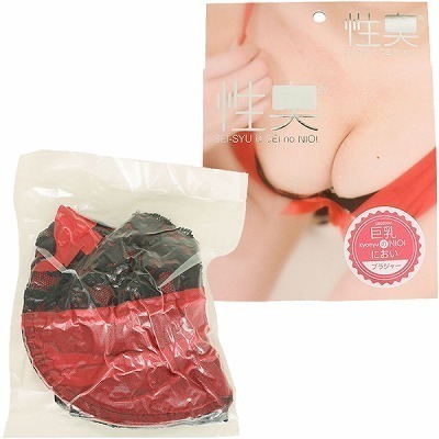 ���L�@�u���W���[�@�����̂ɂ���