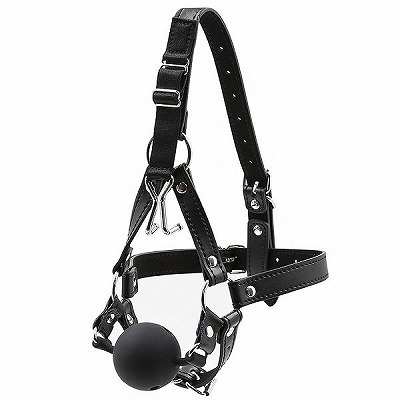 ���r�l�@�u�h�o���@�t�b�N�{�[���M���O�n�[�l�X�@�i���j