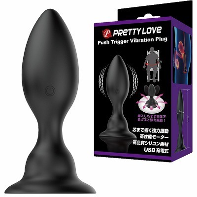 �v���e�B���u�@�i�v�b�V���g���K�[�o�C�u���[�V�����v���O�j