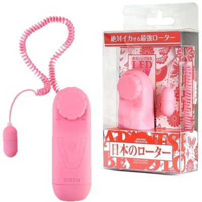 ���{�̃��[�^�[