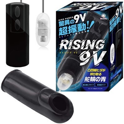 ���C�W���O�X�u�@�i�Ǘւ̐j