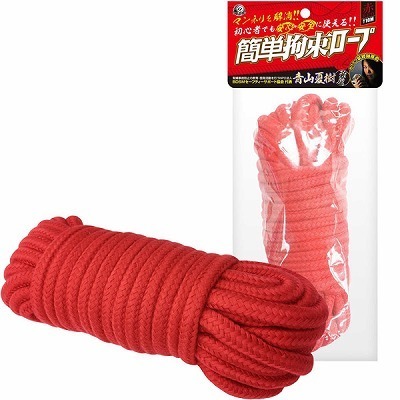 �ȒP�S�����[�v�@�i�ԁj