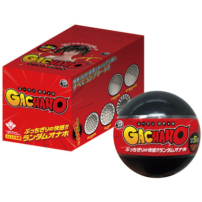 �G�[�����K�`���z�a�n�w�@�Q�T�Z�b�g