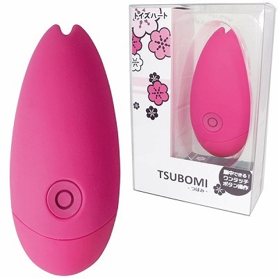 �s�r�t�a�n�l�h�@�|�ڂ݁|